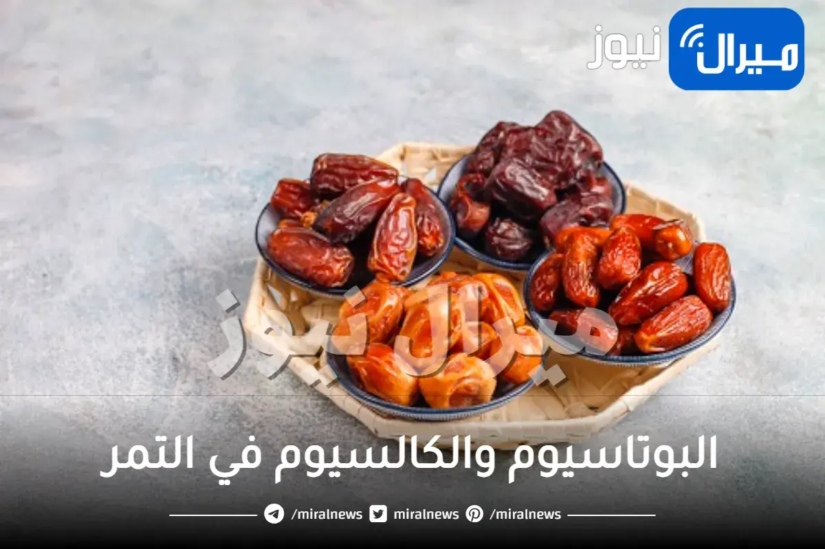 التمر أم الموز؟ حقائق مذهلة عن نسبة البوتاسيوم والكالسيوم في التمر ودورها في خفض ضغط الدم