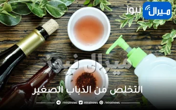 طريقة التخلص من الذباب الصغير في المنزل