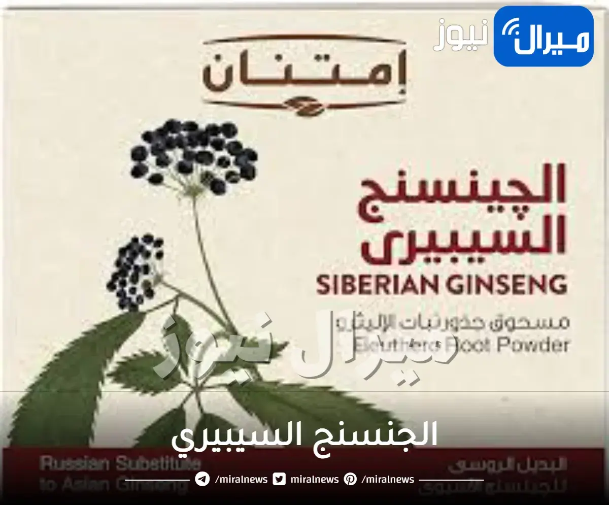 الجنسنج السيبيري