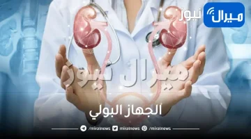 الجهاز البولي واجزائه وكيف يعمل و وظيفته