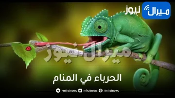 الحرباء في المنام
