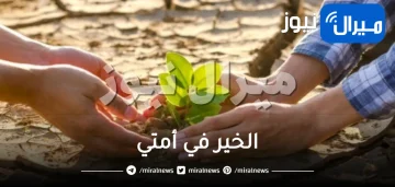 الخير في أمتي | ما هي مدى صحة هذا الحديث وتفسيره؟