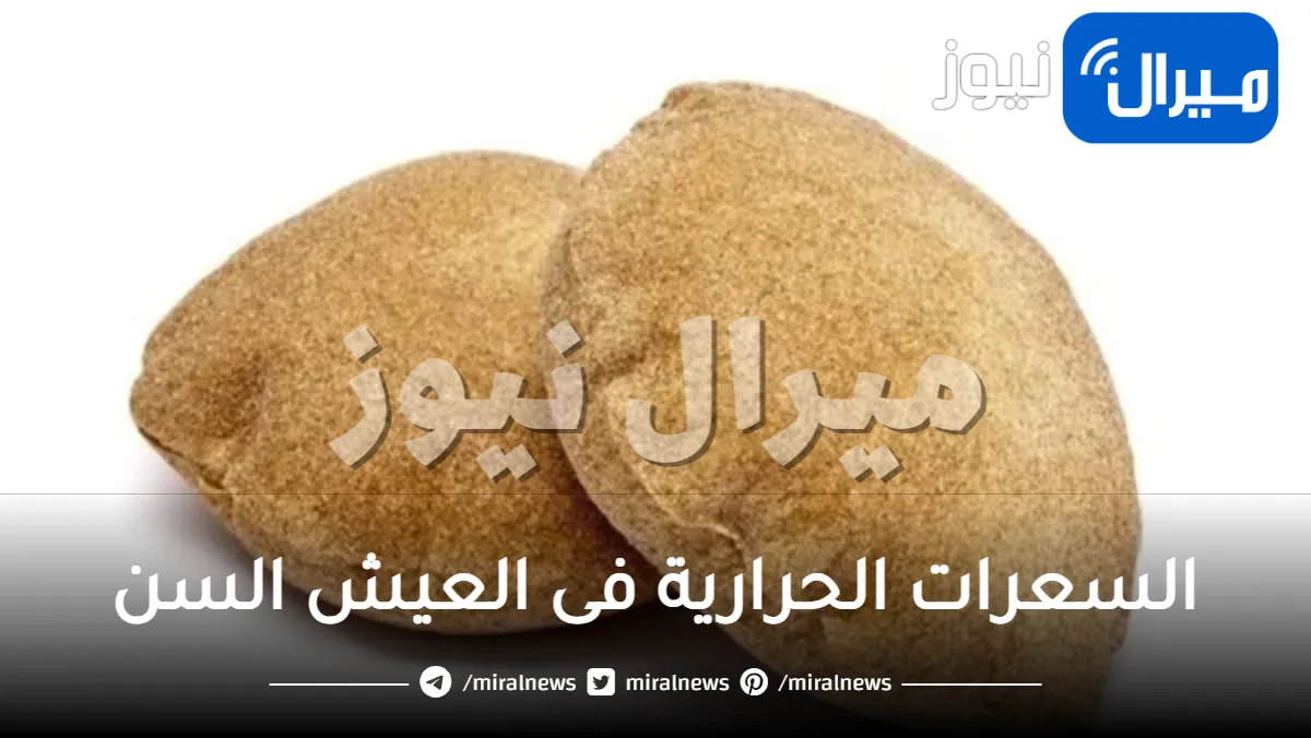 السعرات الحرارية فى العيش السن