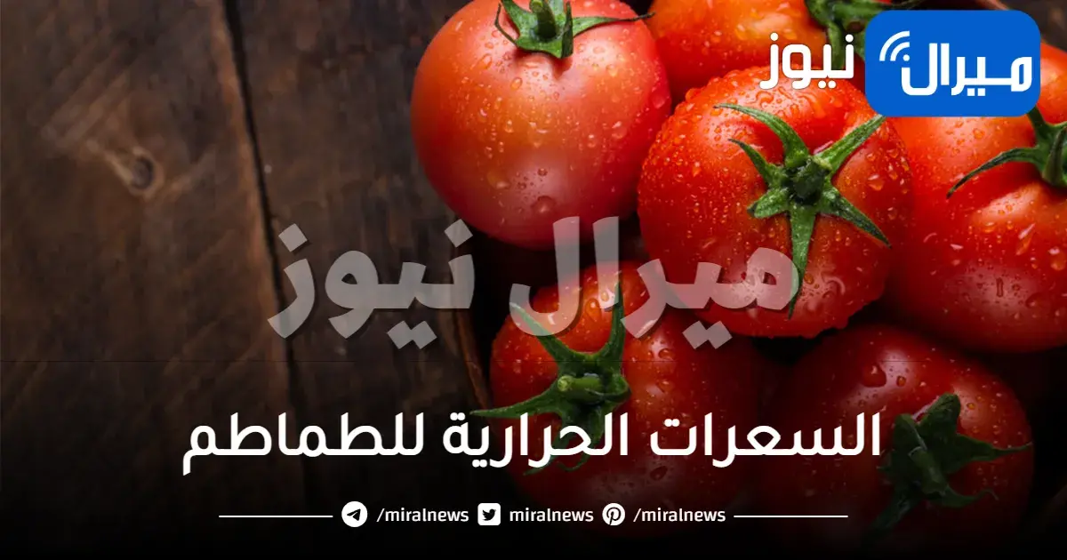 السعرات الحرارية للطماطم