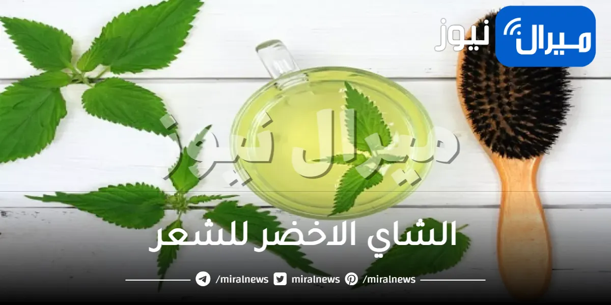 وصفات الشاي الاخضر للشعر