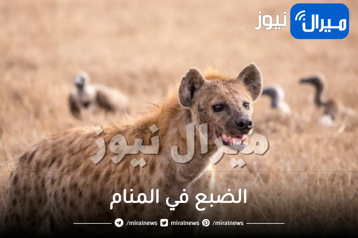 الضبع في المنام