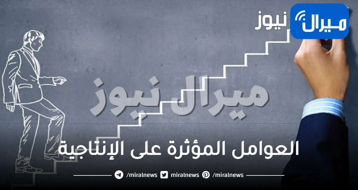 ما هي العوامل المؤثرة على الإنتاجية في التصنيف