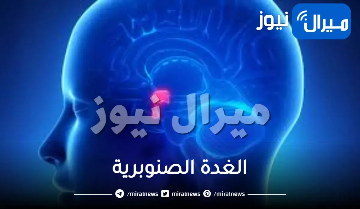 الغدة الصنوبرية