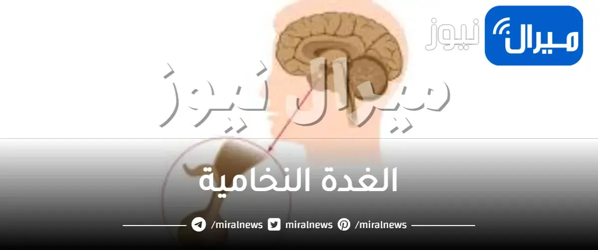الغدة النخامية