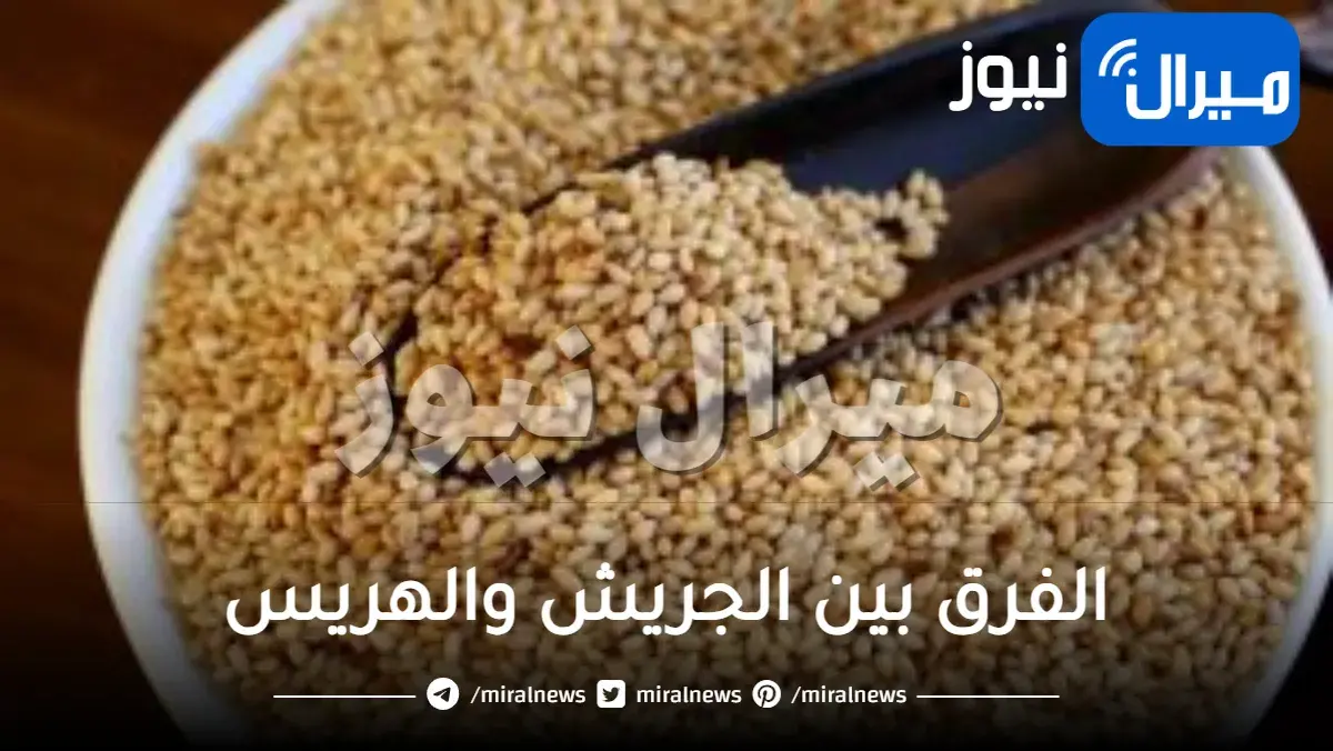 الفرق بين الجريش والهريس