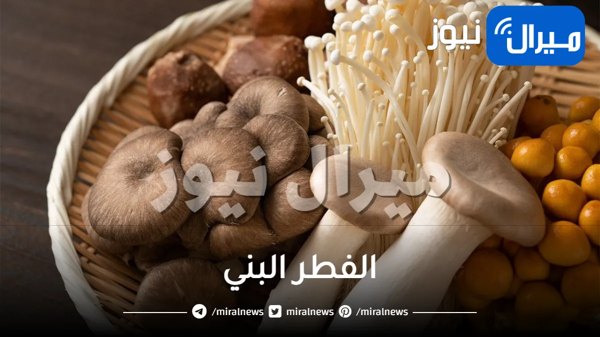 الفطر البني