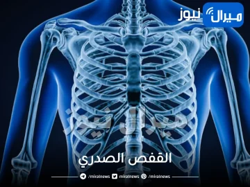 القفص الصدري