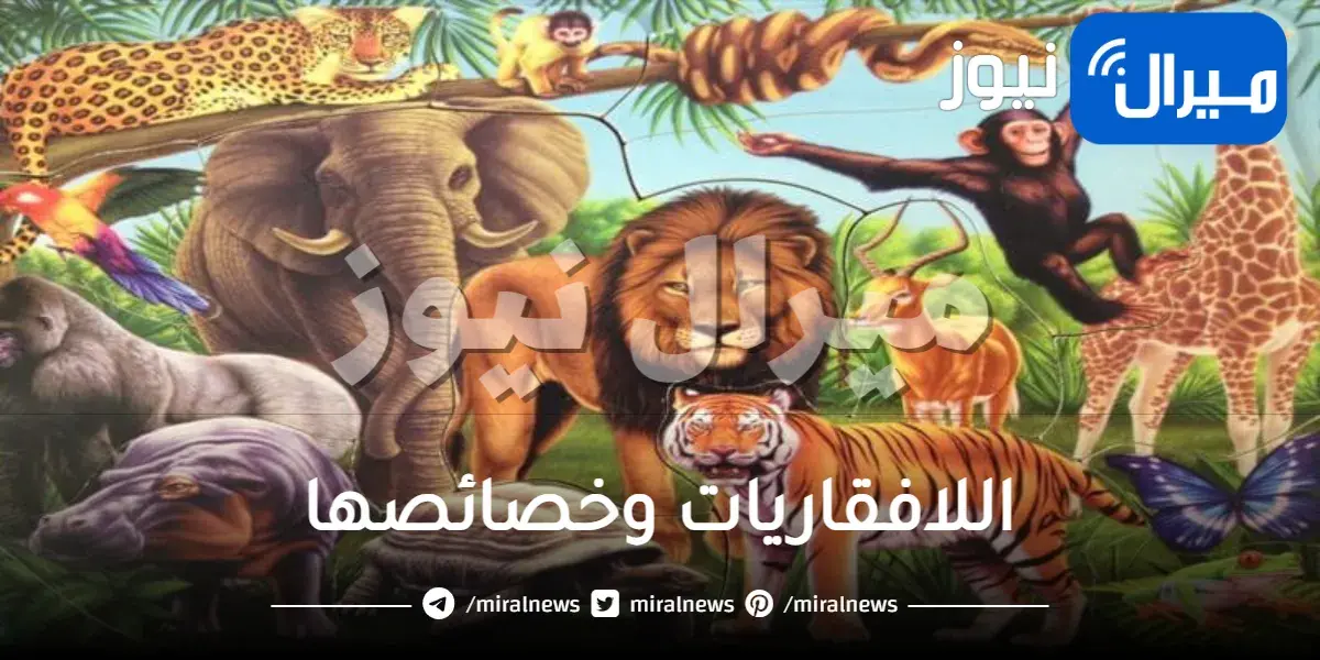 اللافقاريات وخصائصها