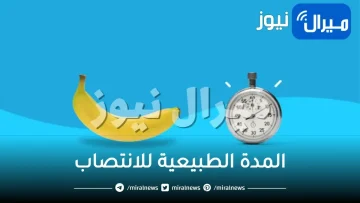 المدة الطبيعية للانتصاب