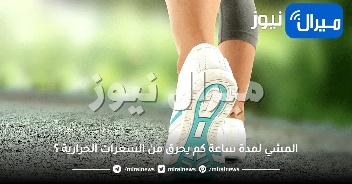 المشي لمدة ساعة كم يحرق من السعرات الحرارية ؟