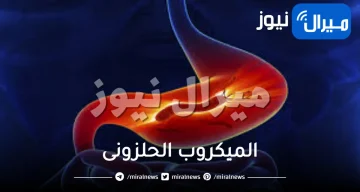 الميكروب الحلزونى وخطورته وعلاجه