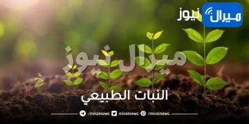 النبات الطبيعي