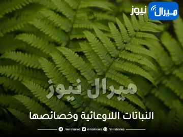 النباتات اللاوعائية وخصائصها