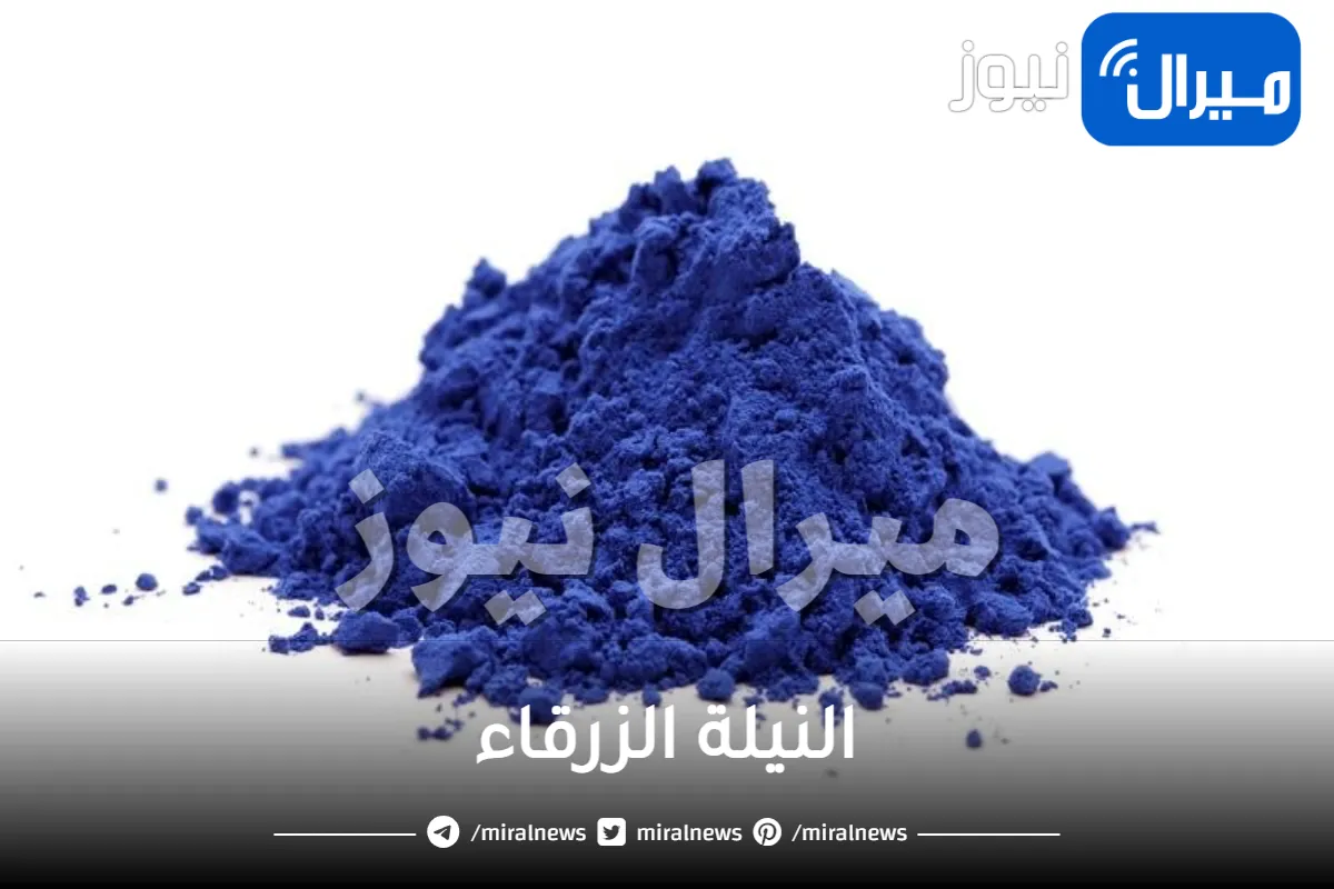 النيلة الزرقاء