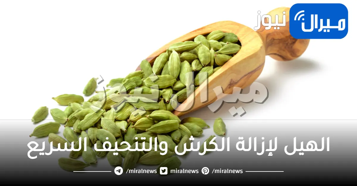 الهيل لإزالة الكرش والتنحيف السريع
