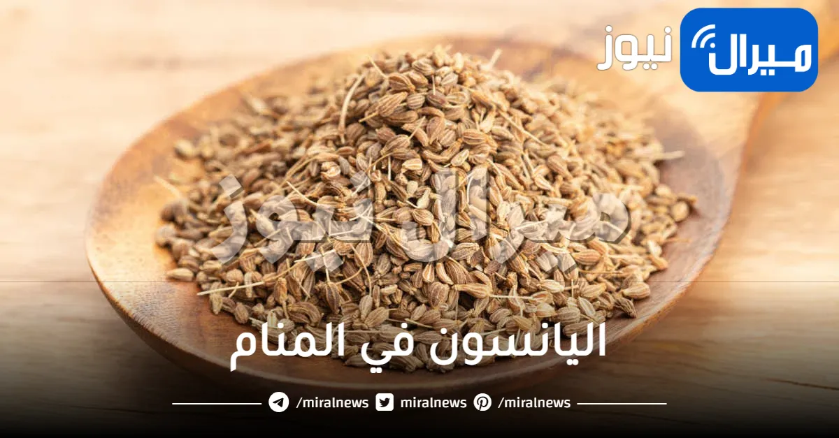 اليانسون في المنام للعزباء واليانسون الجاف