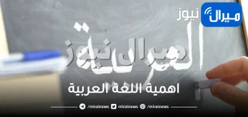 اهمية اللغة العربية وكيفية الحفاظ عليها