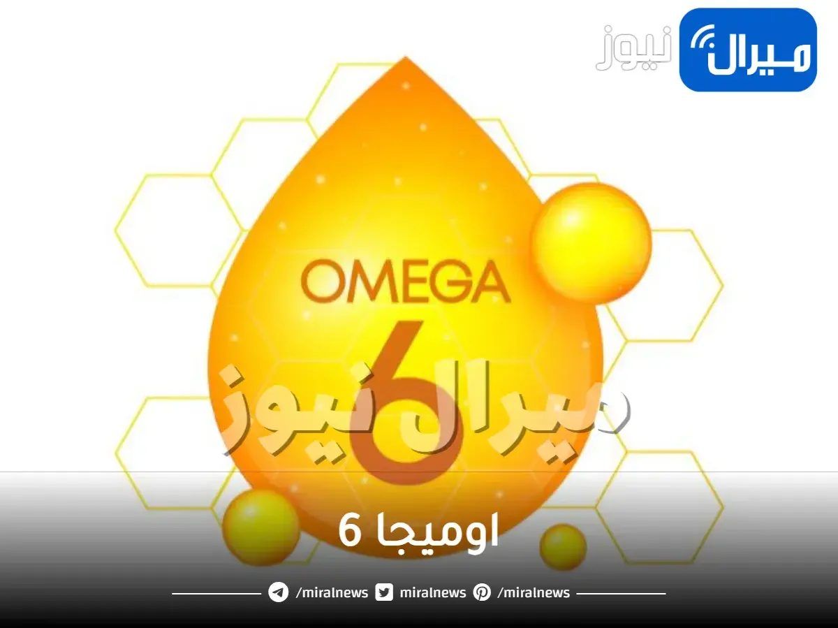 اوميجا 6