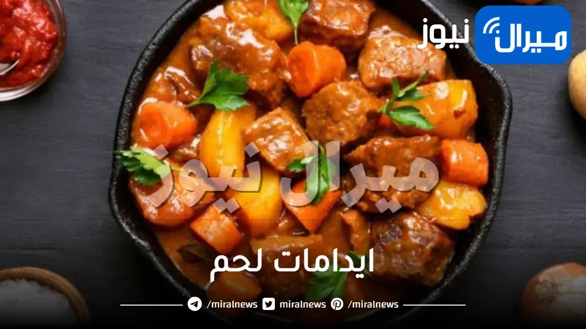 ايدامات لحم