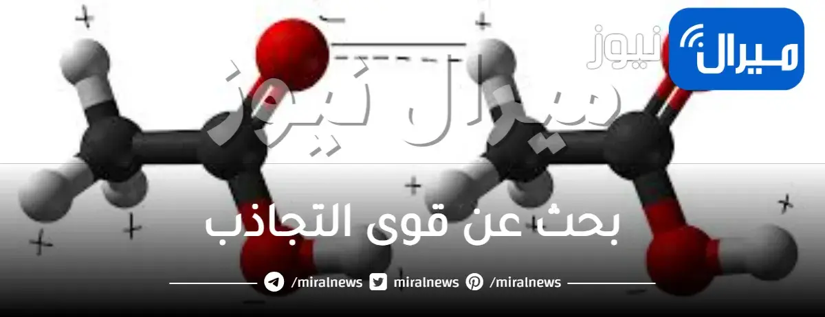 بحث عن قوى التجاذب