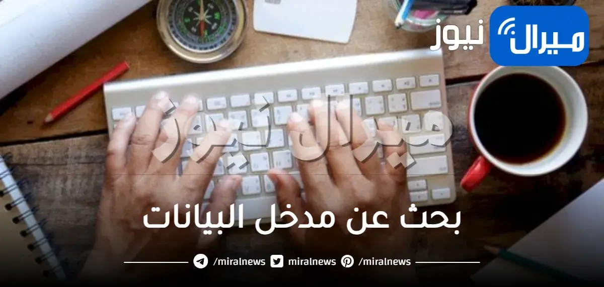 بحث عن مدخل البيانات