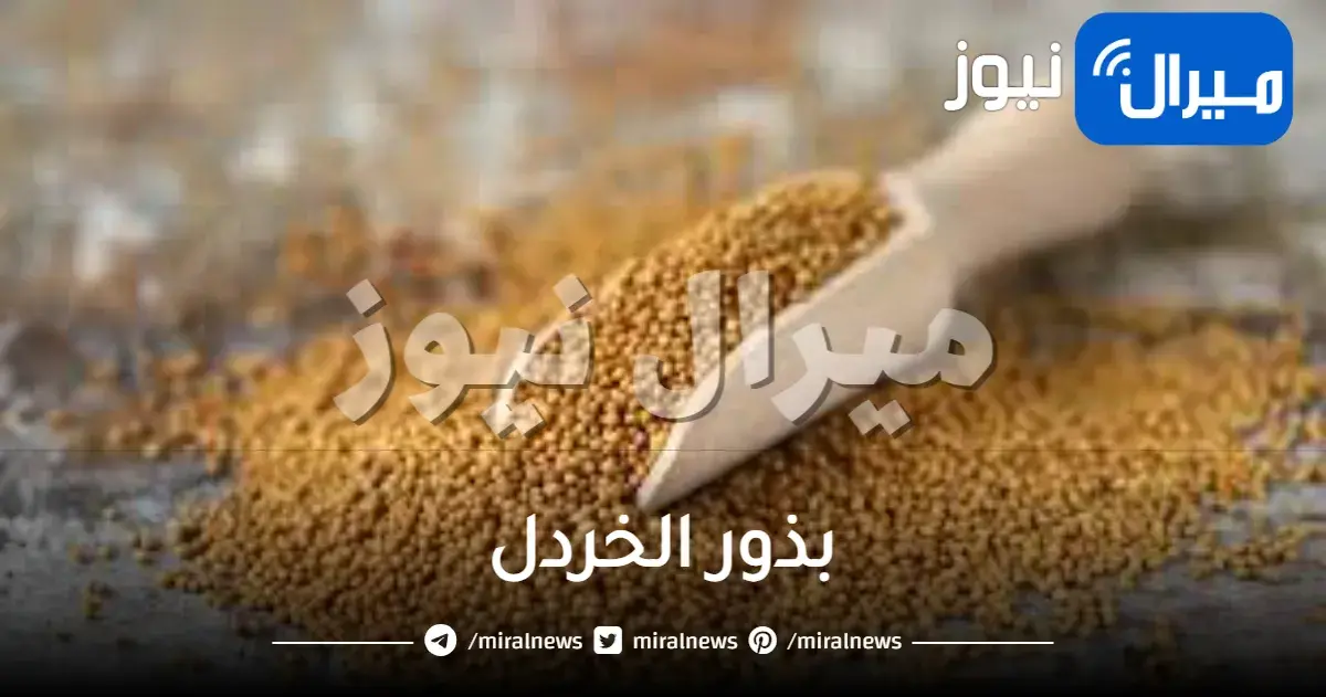 بذور الخردل