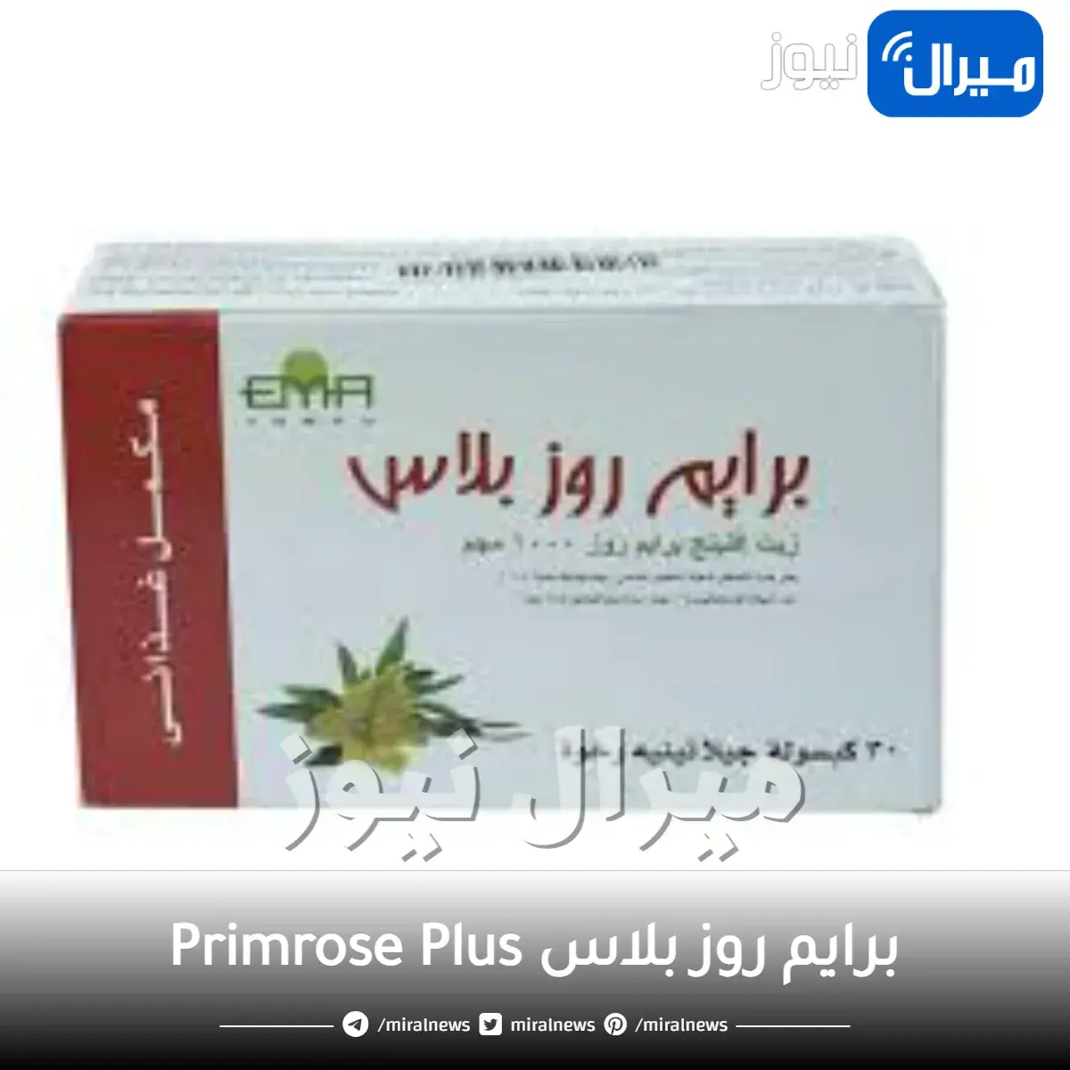 برايم روز بلاس Primrose Plus