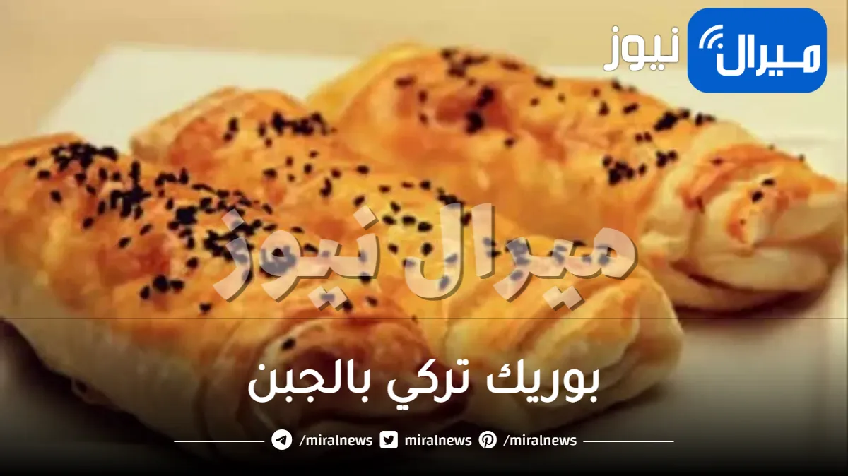 بوريك تركي بالجبن