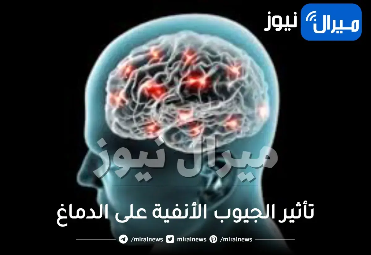 تأثير الجيوب الأنفية على الدماغ