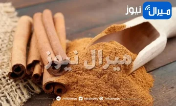 تجربتي مع الإجهاض بالقرفة