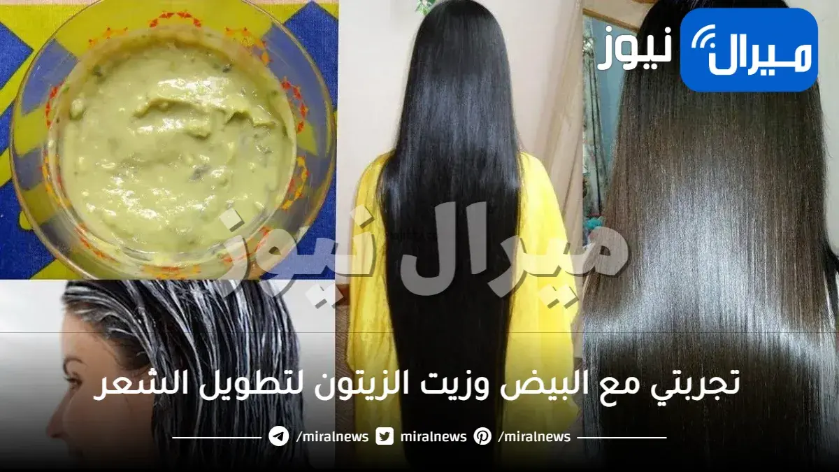 تجربتي مع البيض وزيت الزيتون لتطويل الشعر وعلاج تقصفه في 10 أيام