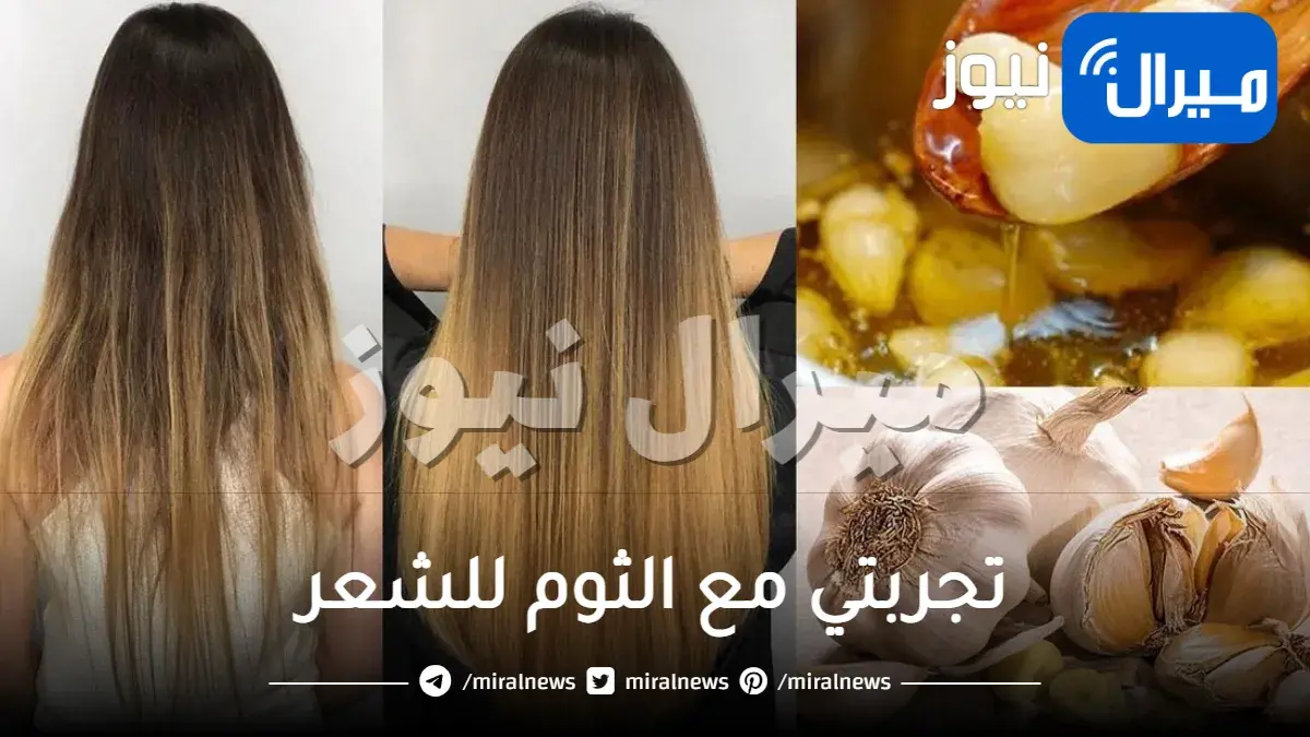 تجربتي مع الثوم للشعر وصفة ناجحة 100% ومتى يبدأ مفعولها