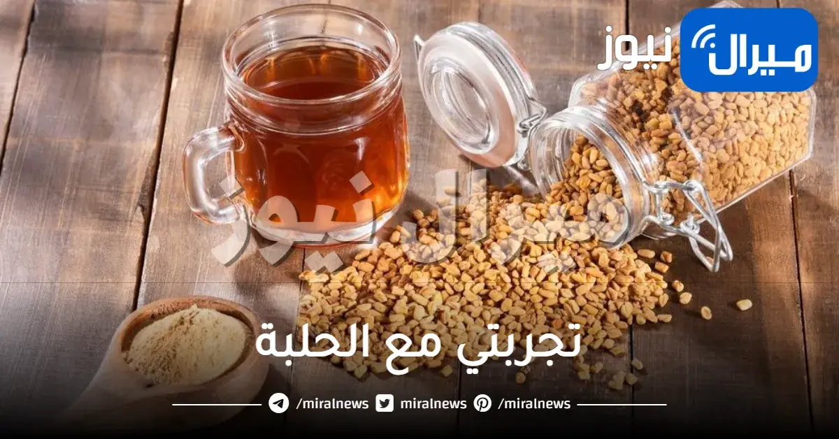 تجربتي مع الحلبة لمدة شهر للتنحيف والتسمين نتائج مذهلة ورائعة مضمونة 100% للعظام والصدر