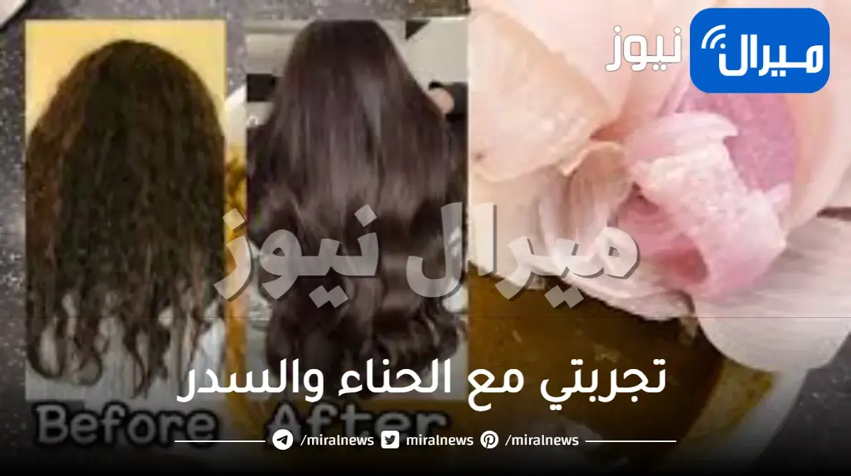 تجربتي مع الحناء والسدر للشعر وأهم 10 فوائد للحناء والسدر