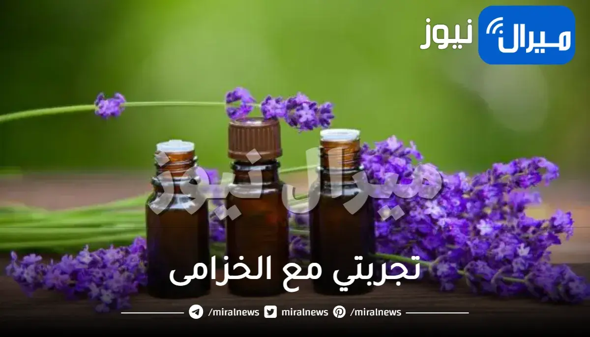 تجربتي مع الخزامى للمنطقة الحساسة فوائدها وطريقة عمل غسول الخزامى