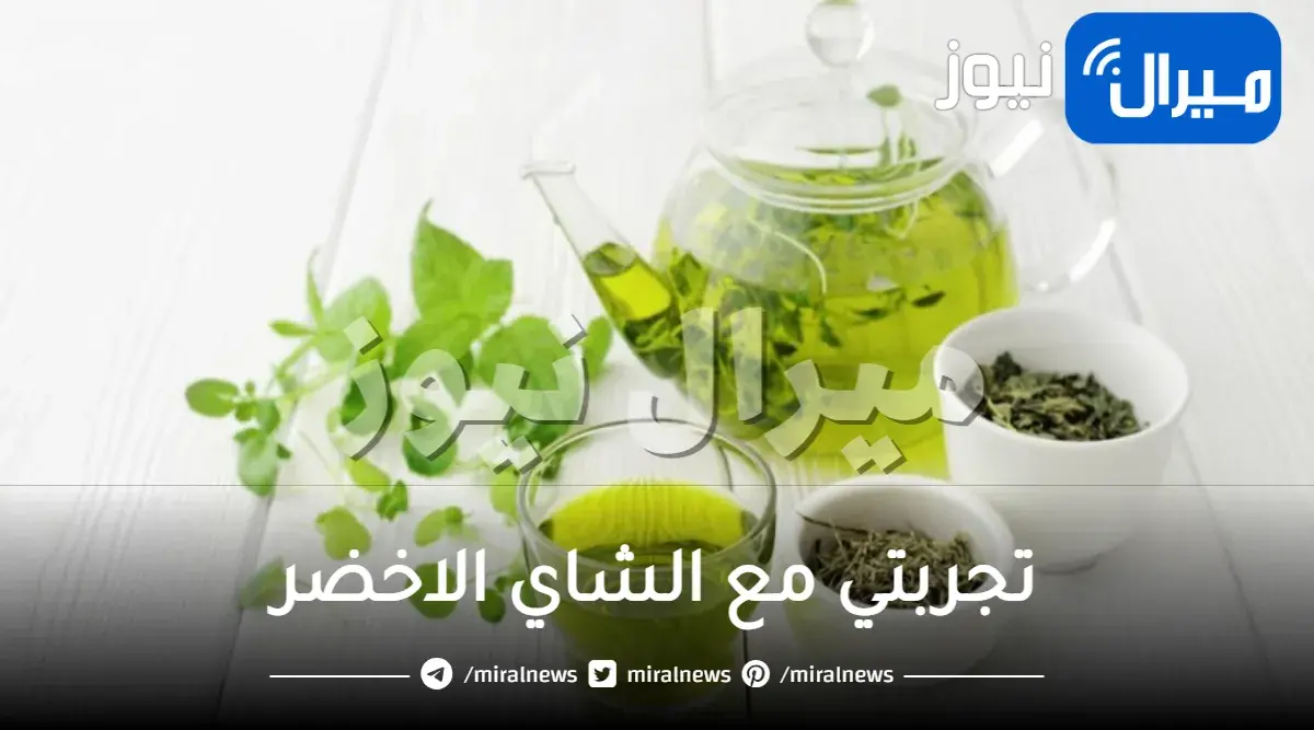 تجربتي مع الشاي الاخضر على الريق متى تظهر نتائجه وكم ينحف في أسبوع