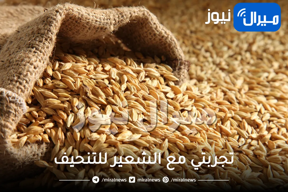 تجربتي مع الشعير للتنحيف