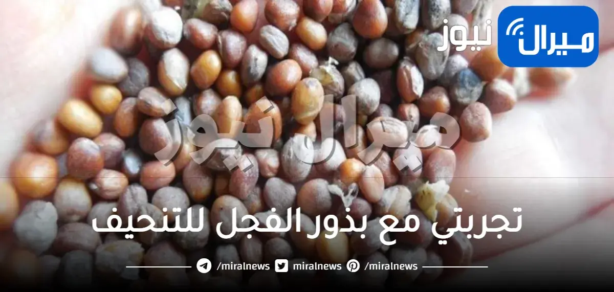 تجربتي مع بذور الفجل للتنحيف