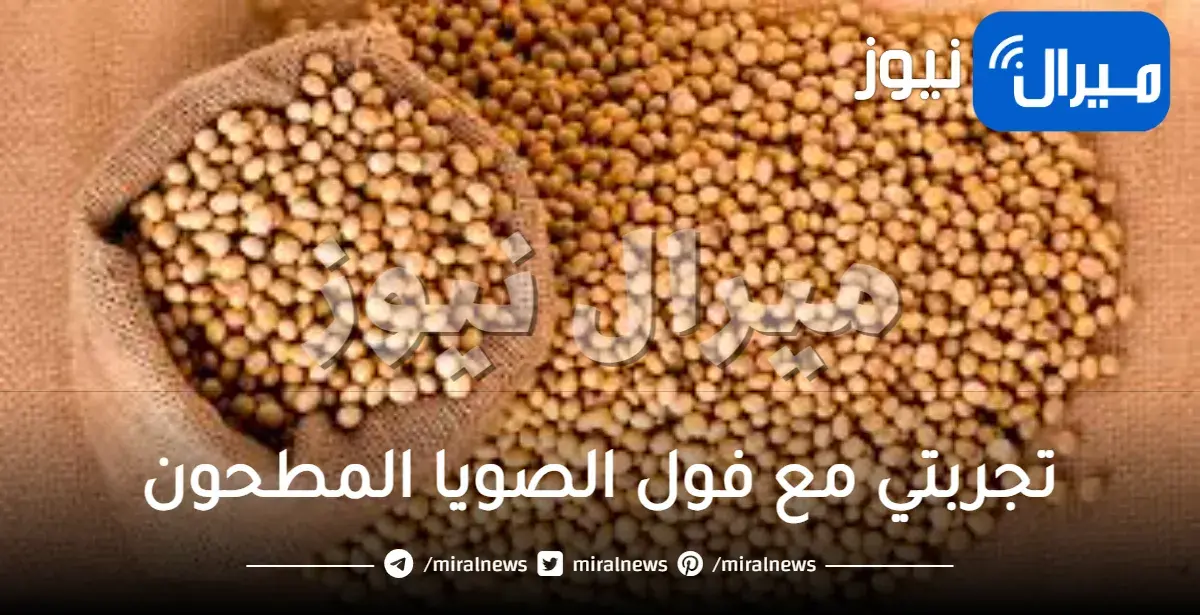 تجربتي مع فول الصويا المطحون لتكبير الأرداف وتسمين الوجه