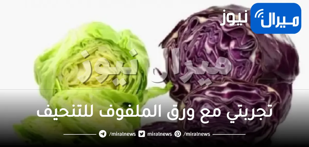 تجربتي مع ورق الملفوف للتنحيف لشد البطن والترهلات بالجسم