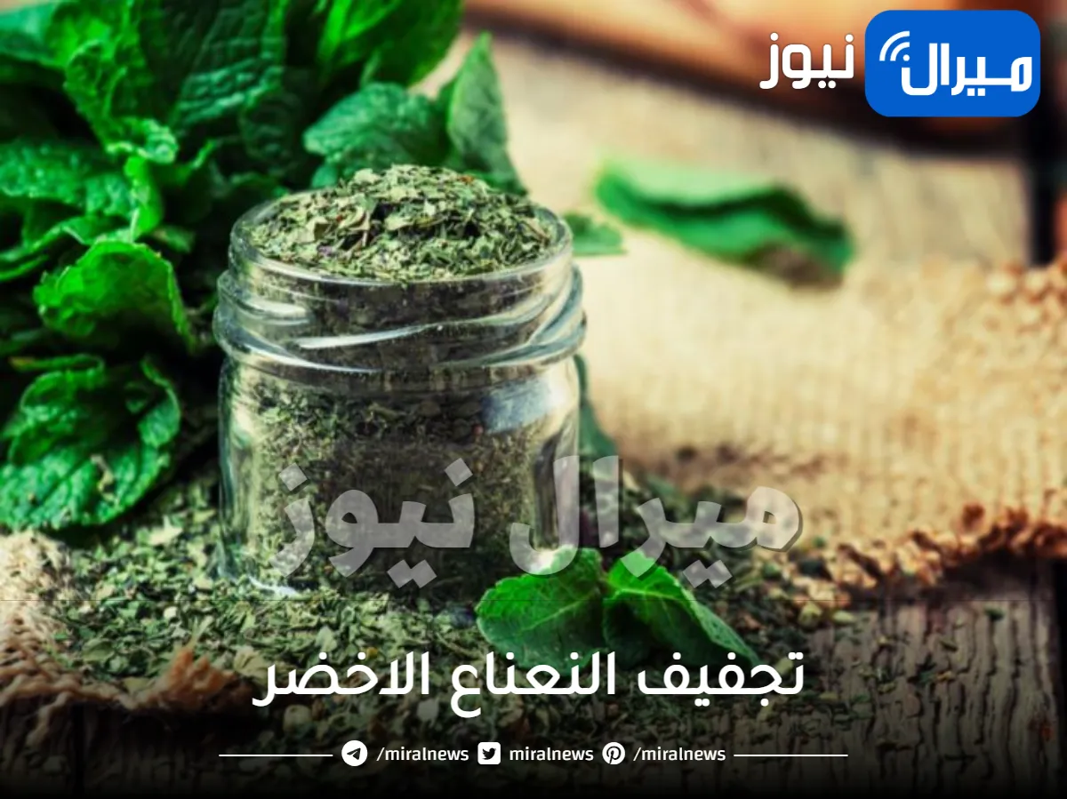 طريقة تجفيف النعناع الاخضر في المنزل