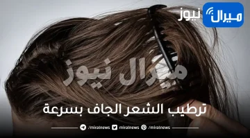 ترطيب الشعر الجاف بسرعة