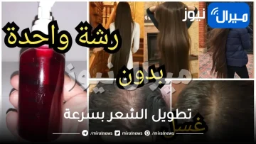 افضل 20 علاج لتطويل الشعر بسرعة