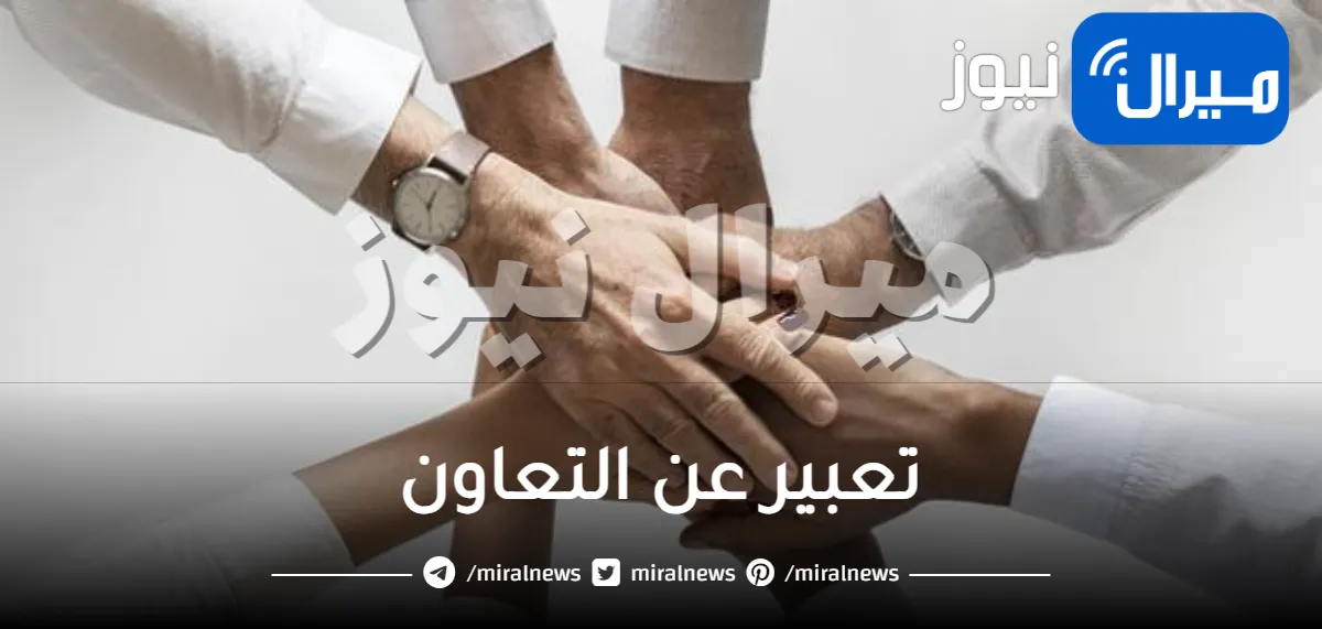 تعبير عن التعاون
