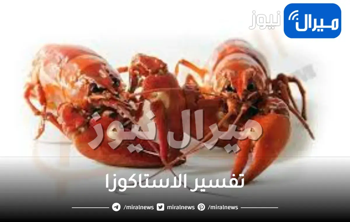 تفسير الاستاكوزا في المنام للعزباء